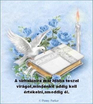 csokr rosza kihugomnak tilos elvíní 3