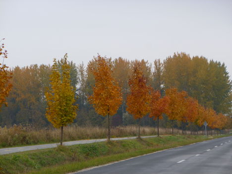 Darnózseli-Arak közötti kerékpárút, Itt van az ősz, Itt van újra, 2011. október 28.-án