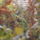 Dscf2028_1288246_5155_t
