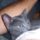 K80_1288123_2773_t