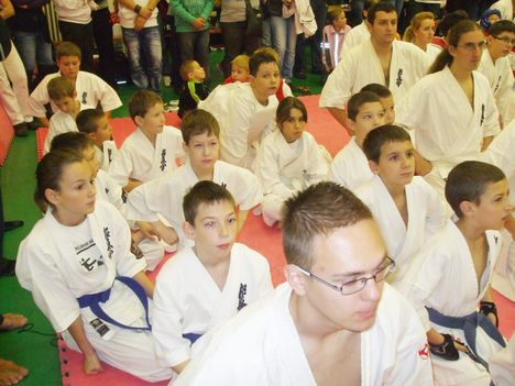 Karate Budapest 463