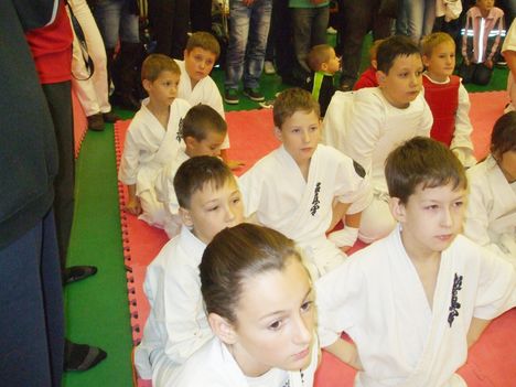 Karate Budapest 464