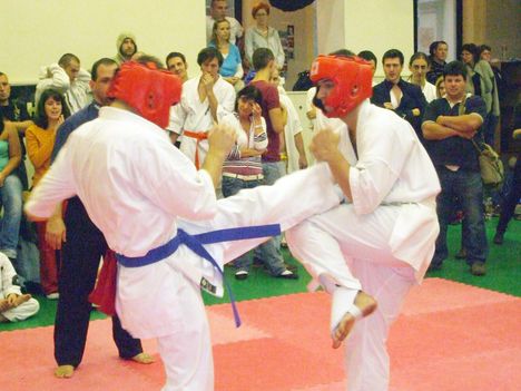 Karate Budapest 485