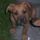 Kep_004_1288151_6333_t