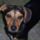 Kep_006_1288139_7014_t