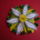 Quilling_virag_1288889_6103_t