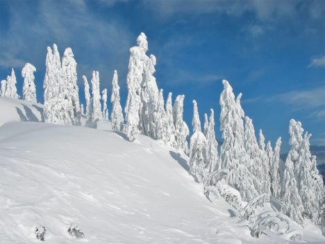 csokr rosza kihugomnak tilos elvíní 15