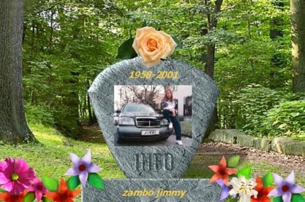 csokr rosza kihugomnak tilos elvíní 14