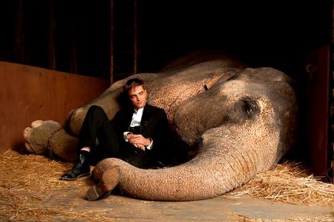 water for Elephants Still 7