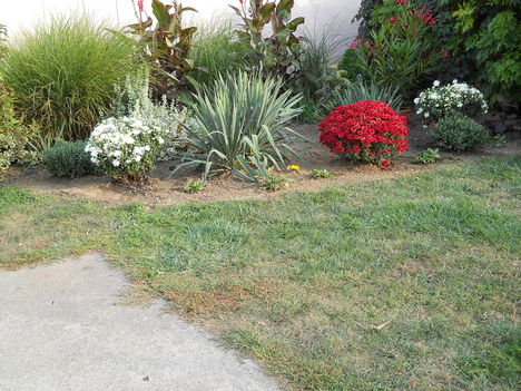 2011 oktober 001