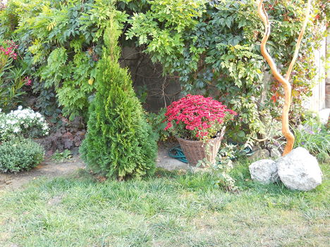 2011 oktober 003
