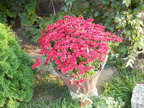 2011 oktober 004