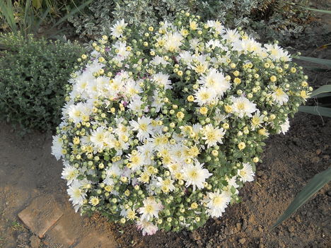 2011 oktober 005