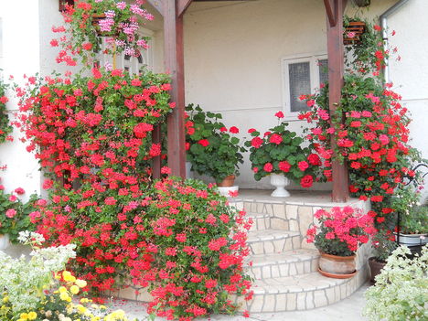 2011 oktober 022