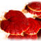 ganoderma