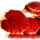 Ganoderma_1291453_9304_t