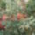 P1080325_1291137_3030_t