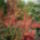 P1080329_1291132_4297_t