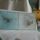 Ibolya_munkai_010_1292796_1085_t