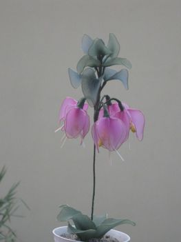 harisnyavirág/harisnya-virág-apróság-ajándék 5