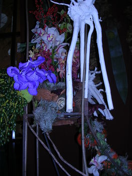 orchidea kiállítás 2011. nov.05. 027