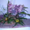 orchidea kiállítás 2011. nov.05. 028