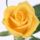 204236_190327427678831_190325047679069_541740_1589282_o_1295134_2893_t