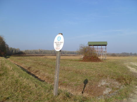 Ásványráró, A Kucsérok nevű vizes élőhely természetvédelmi kilátóval, 2011.november 09.-én