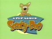 180px-240px-Pup-named-scooby-doo