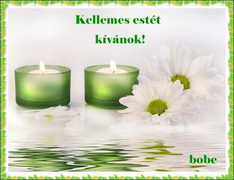 csokr rosza kihugomnak tilos elvíní 16