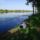 Tisza_arteruleten_a_nagy_morotva_tojajnal_1299820_2192_t