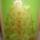Udvozlet_kep_1299947_6757_t