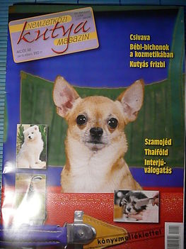 2011. januári Nemzetközi Kutya-magazin