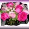 ciklámen és rózsaszínű rózsák masnival