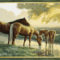 lovas kép 12
