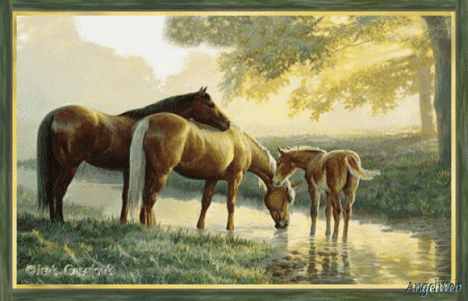 lovas kép 12