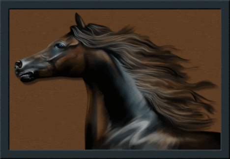 lovas kép 13