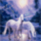 lovas kép 23