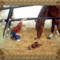 lovas kép 3