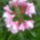 Nekem_is_van_itt_kaptam_valakitol_1209634_4886_t