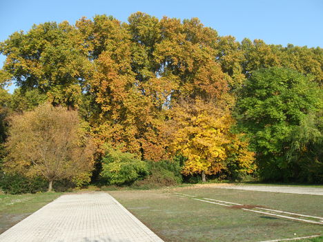 Park ősszel