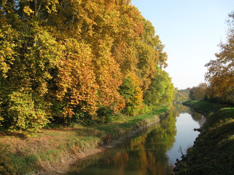 Vízpart őszi fákkal