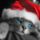 Christmas_cat_1020782_6382_t
