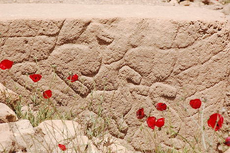 göbekli tepe - a török stonehenge