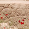 göbekli tepe - a török stonehenge