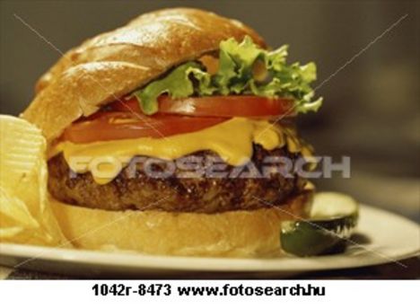 Otthoni sajtburger