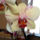 Phalaenopsis_orchidea-004_120774_67556_t