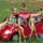 Vw_beetle_05_1020670_6251_t