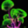 5_1311762_4192_t
