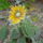 Teli_kepek_11_1311479_8110_t